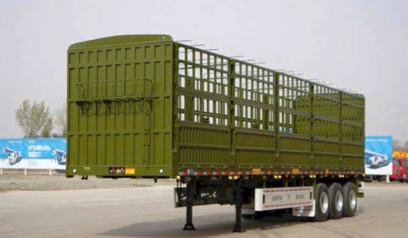 MOOC LỒNG JUNTON full